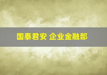 国泰君安 企业金融部